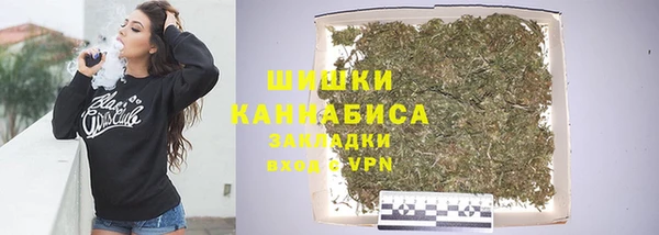 Альфа ПВП Бородино