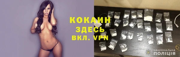 Альфа ПВП Бородино