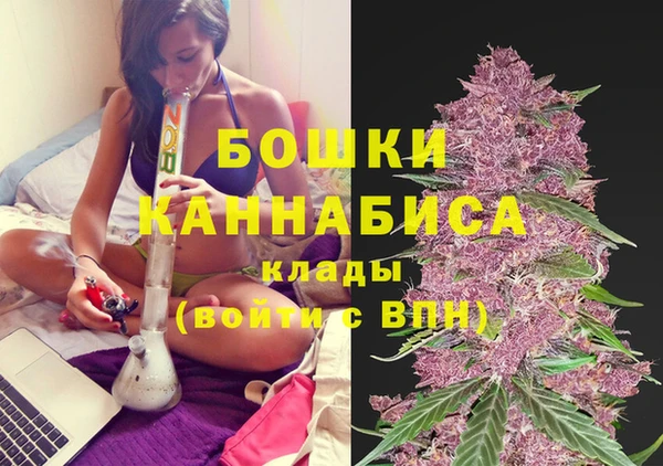 Альфа ПВП Бородино