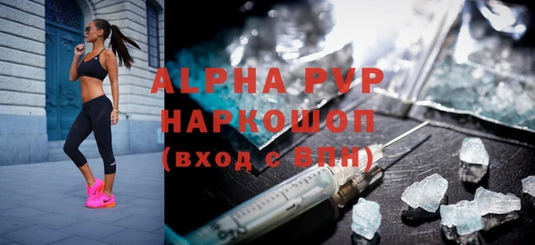 Альфа ПВП Бородино