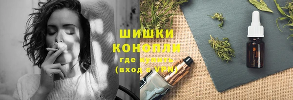 Альфа ПВП Бородино